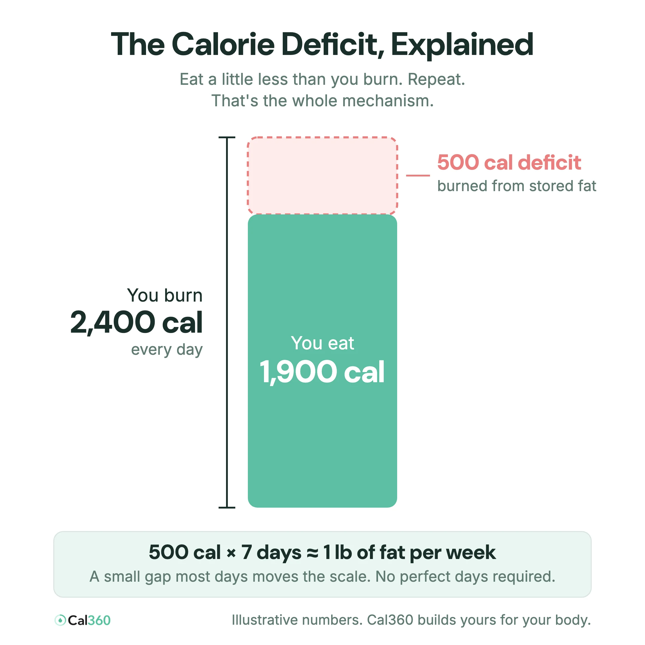Calorie deficit diagram: of the 2,400 calories you burn each day, eating 1,900 leaves a 500 calorie gap filled from stored fat, roughly one pound per week