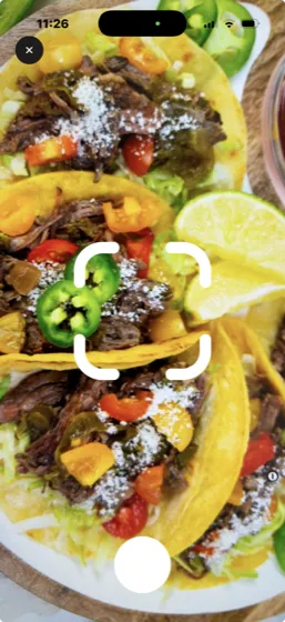 Cal360 AI food scanner taking a picture of a meal to count calories